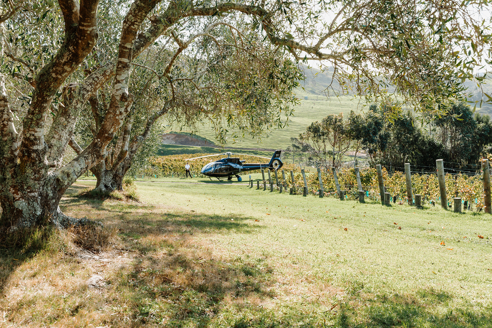 Helicopter wedding locations