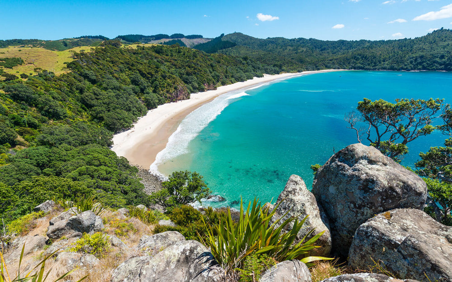 Coromandel Explorer Scenic Flight
