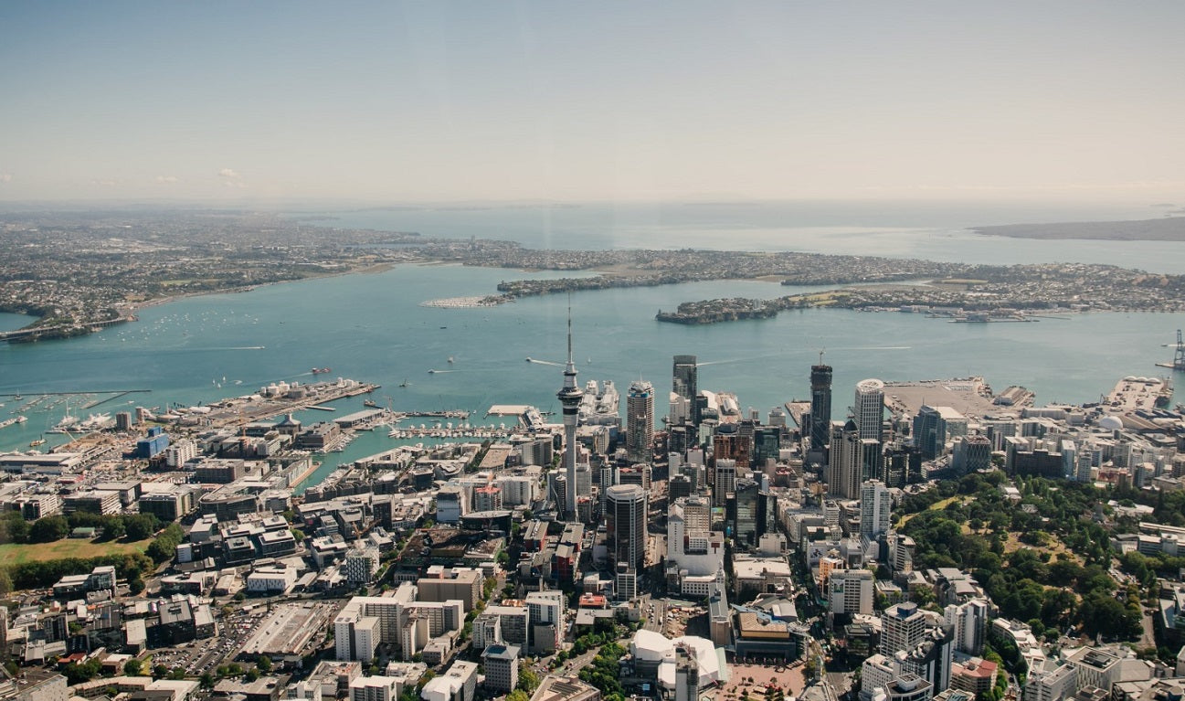 Auckland Discovery - Shared Flight