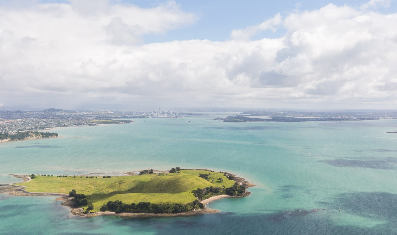 Auckland Discovery - Shared Flight
