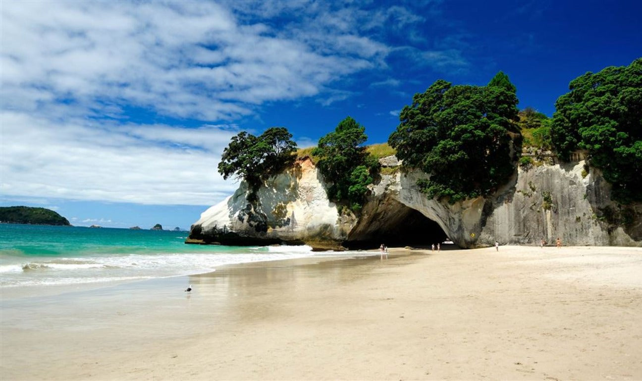 Cathedral Cove Coromandel