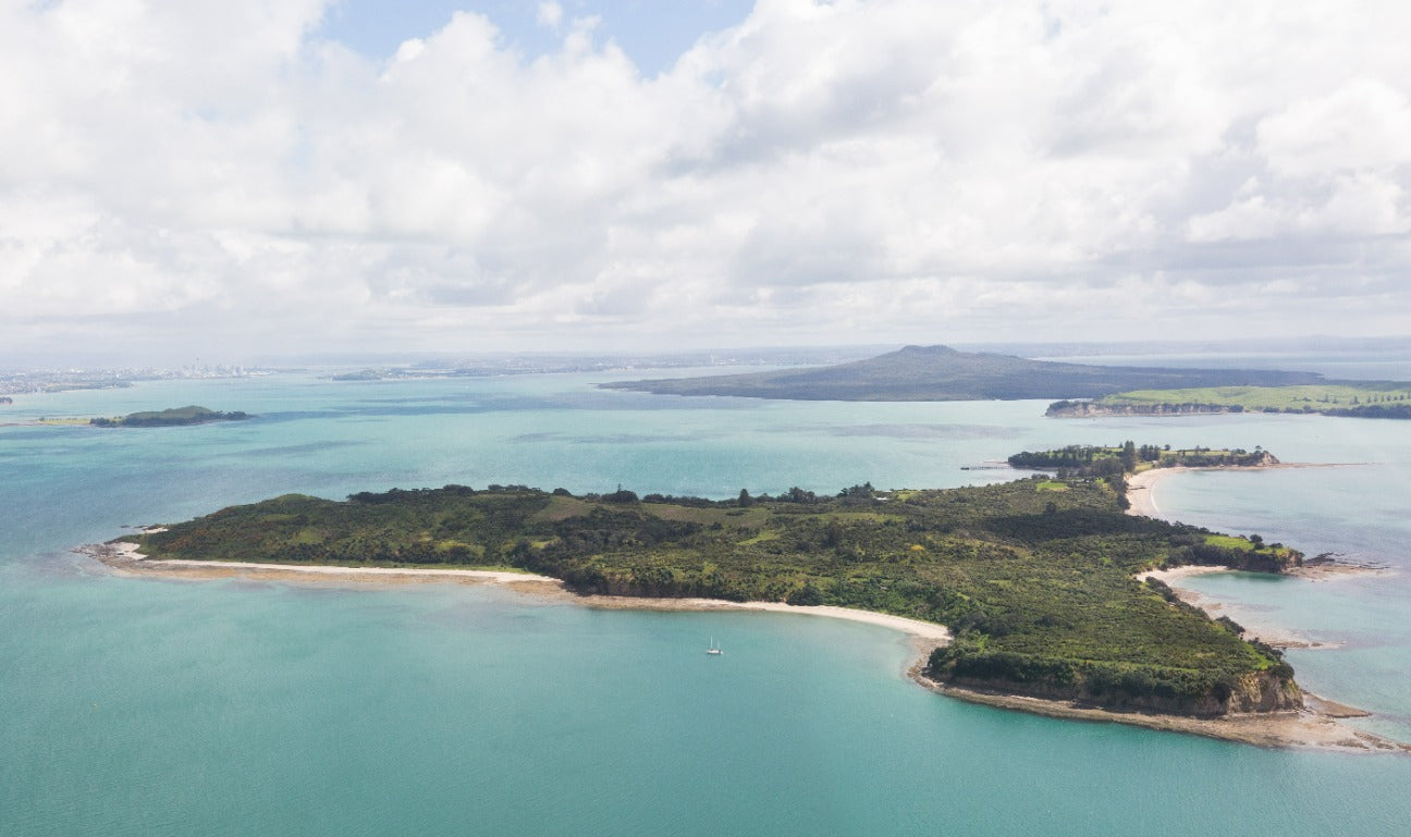 Auckland Discovery