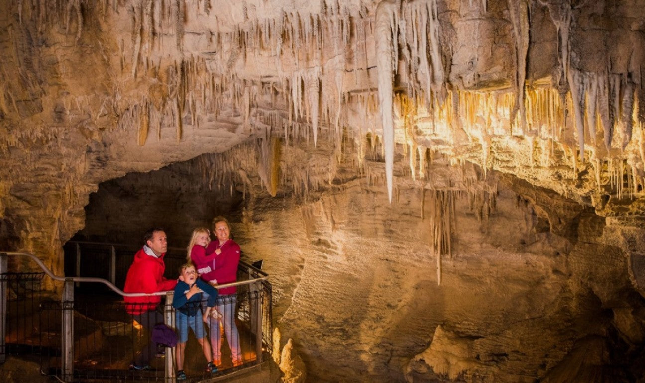 Waitomo Glow Worm Caves